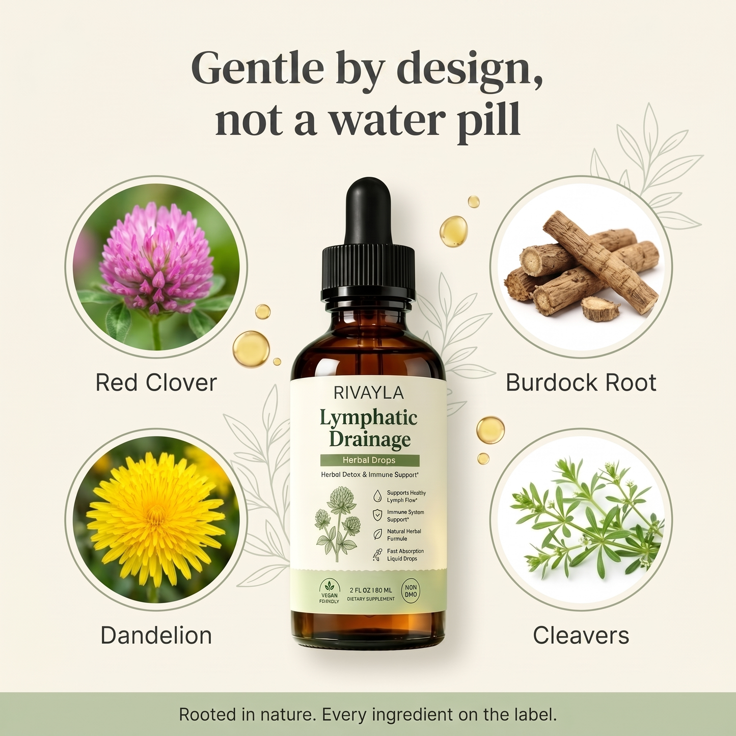 Gentle by design, not a water pill: red clover, dandelion, burdock root and cleavers, every ingredient on the label