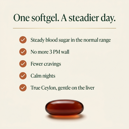 One softgel, a steadier day: steady blood sugar, no 3 PM wall, fewer cravings, calm nights